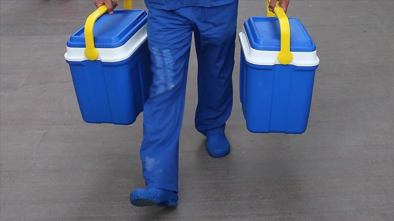 Organ bağışında 143 bin 887 kişi dijital vasiyet oluşturdu