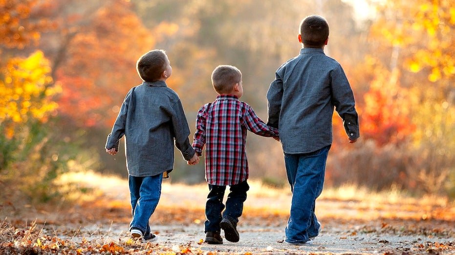 Birth order linked to 150 health conditions in study of 10 million American siblings