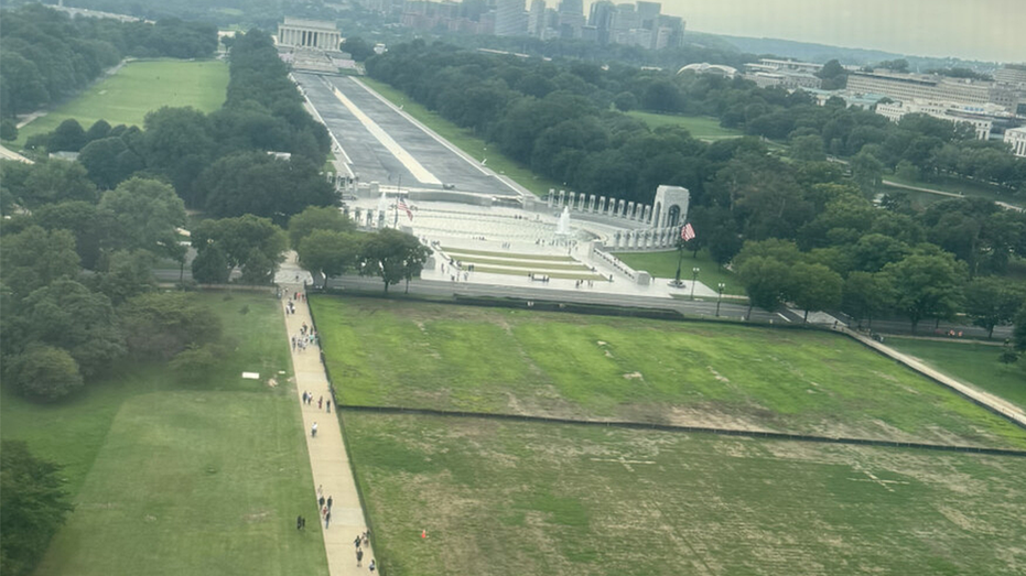 Trump blames vandals for dead grass on National Mall where he hosted 4th of July celebration