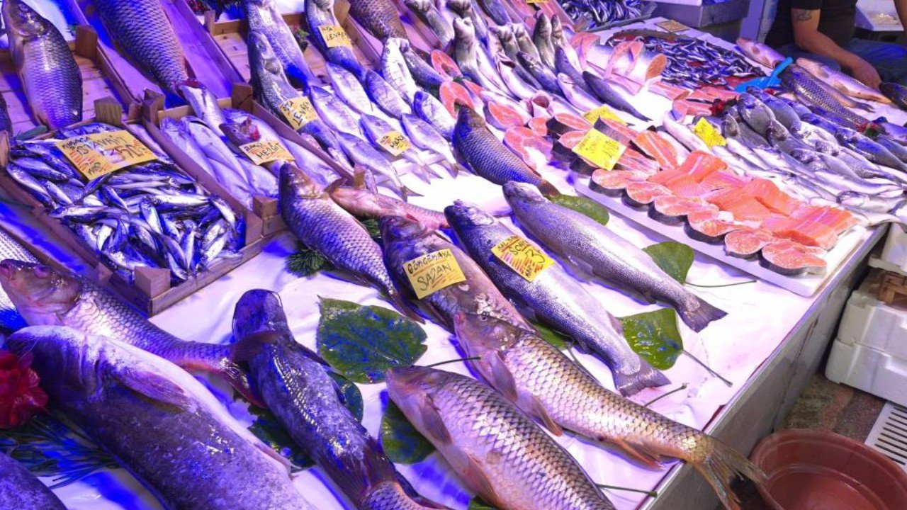 Palamut bu sezon yüzleri güldürecek: Bir balıkta işler tersine dönecek