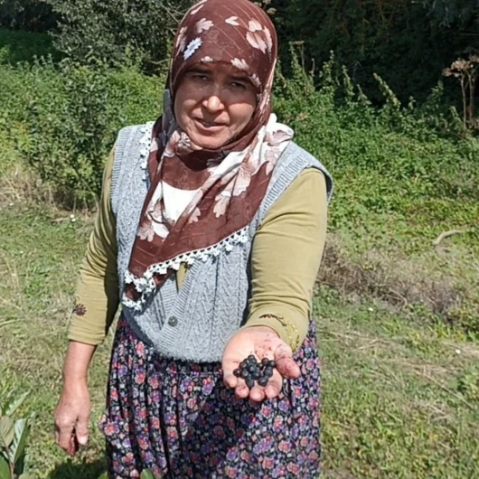 Devlet desteğiyle kurdular, iki yıl sonra ilk ürünlerini aldılar: Şimdi Türkiye’nin her yerinden talep yağıyor