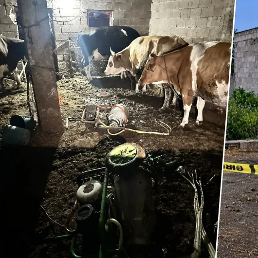 Ahırda korkunç olay: Süt sağarken elektrik akımına kapıldı