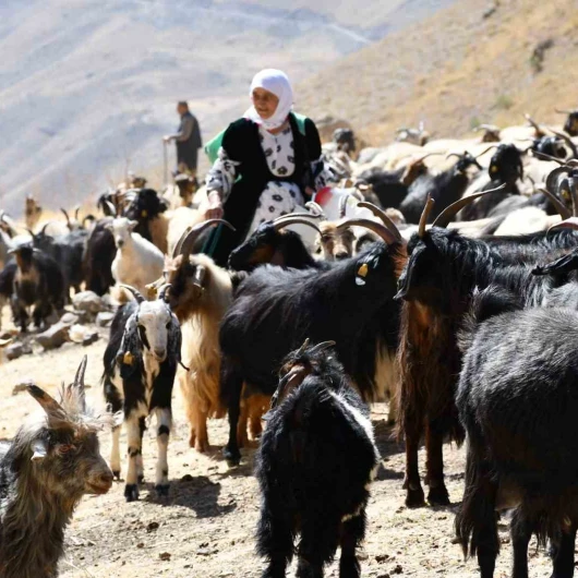 Bir kilosu 10 bin TL: Binbir zorlukla yapıp satıyorlar