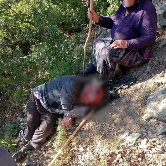 Kuşburnu az daha sonu oluyordu