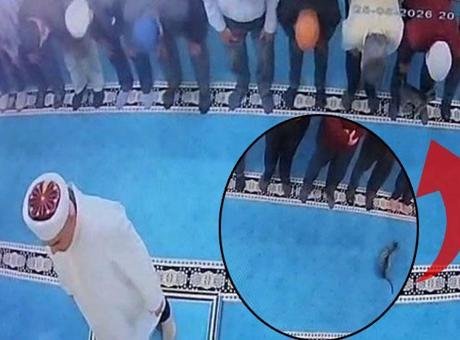 Yer: Erzurum! Cami içinde kediyi tekmeledi: Gözaltına alındı