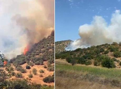 Balıkesir’de orman yangını! Havadan karadan müdahale