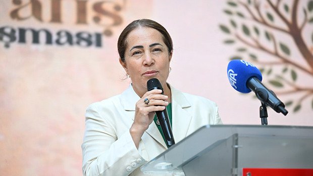 Korkutan nüfus tablosu: Türkiye’de her 100 hanenin 58’inde çocuk sesi yok