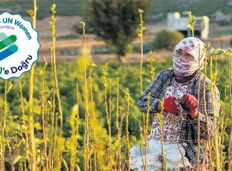 İklim degişikligi eşitsizlikleri derinleştiriyor