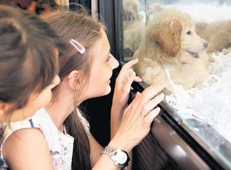 Köpek satışına bakanlık uyarısı