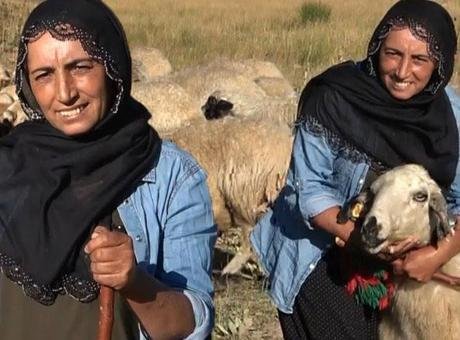 2 çocuk annesi yaylada çobanlık yapıyor! Şimdi tek bir hayalin peşinde