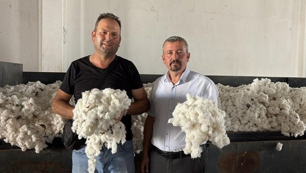 Sezonun ilk pamuğuna 100 lira