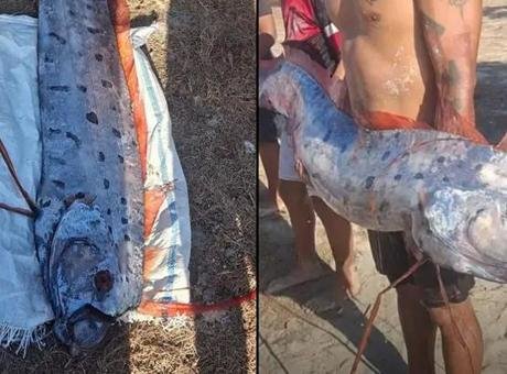 ‘Kıyamet balığı’ sahile vurdu! Ülkede tüyler ürperten tesadüf: ‘6 gün sonra patladı’