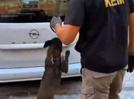 Balıkesir’de 109 bin adet sentetik ecza hapı ele geçirildi