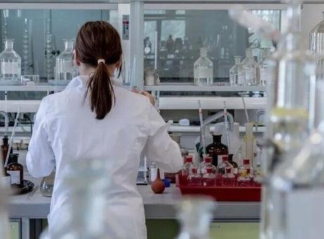 H5N1’de dikkat çeken gelişme! Avustralya’da ilk kez bir deniz aslanında tespit edildi