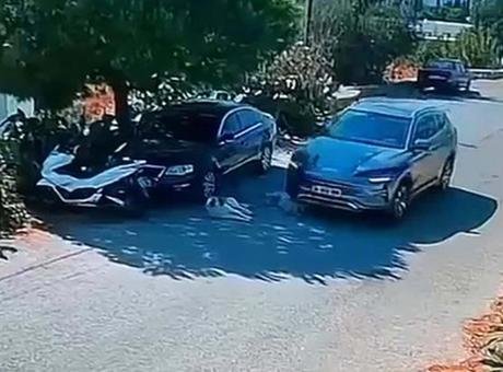 Bodrum’da bir sürücü iki köpeği ezdi, yoluna devam etti