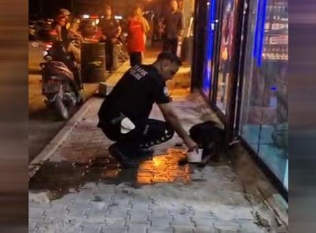 Hatay’da sokak köpeğini av tüfeğiyle yaralayan şüpheli gözaltına alındı