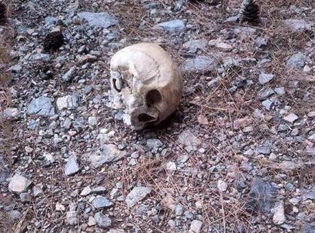Gazipaşa’da ormanda kafatası bulundu, incelemeye alındı