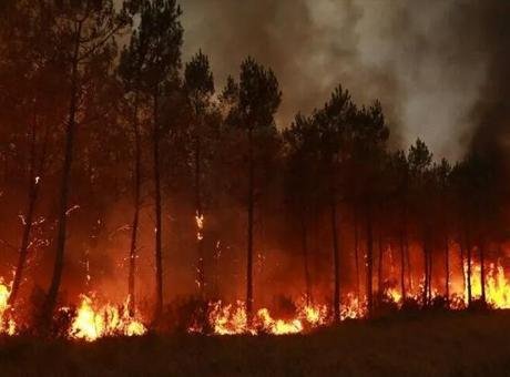 52 gün sürmüştü: Sırbistan’daki orman yangını söndürüldü