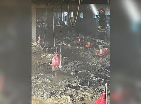 Bolu Mudurnu’da kümeste yangın! Yüzlercesi telef oldu