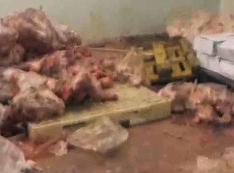 Yakalanmasalardı vatandaşa yedireceklerdi! Başkentte 104 ton bozuk et ele geçirildi