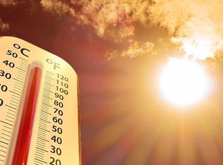 Dünya en sıcak 10 yılını yaşadı! 2024 rekor sıcak yıl oldu