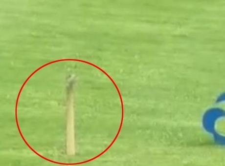 Golf deliğinden çıkan hayrete düşürdü! Gördüğüne inanamadı
