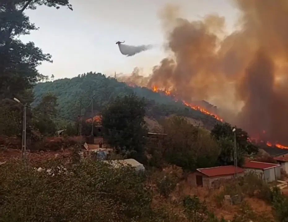 Antalya’da orman yangını. Alevler rüzgarın etkisiyle büyüdü