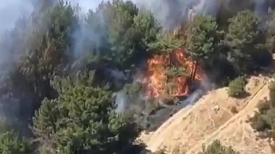 Balıkesir’de orman yangını. Ekipler müdahale ediyor