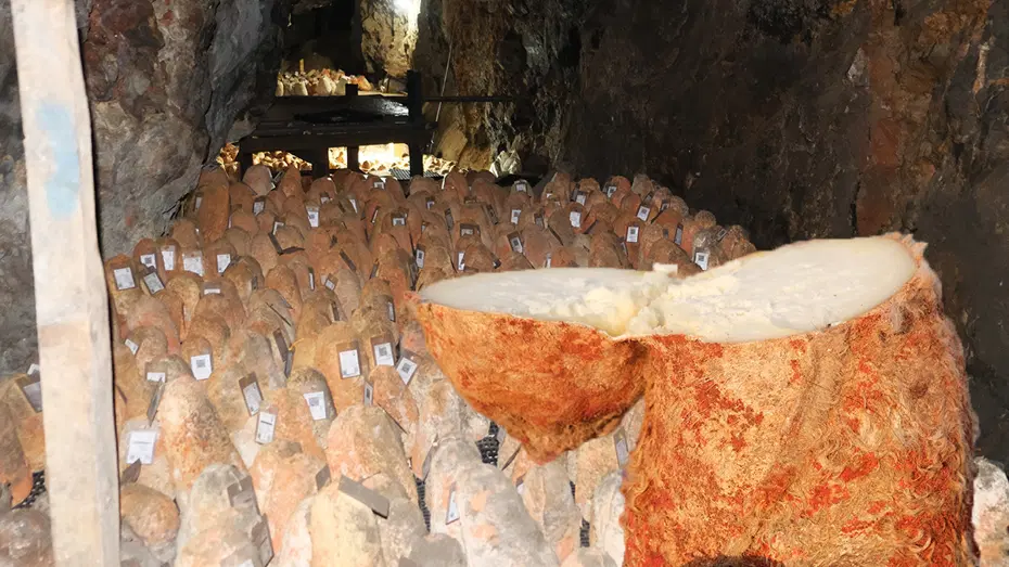 36 metre derinlikte 6 ay bekliyor. Bu peynir beyaz giriyor, kırmızı çıkıyor