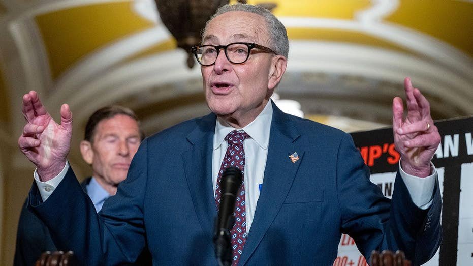 Dems kill Republican’s chances of lowering Americans’ electricity bills in key election flashpoint