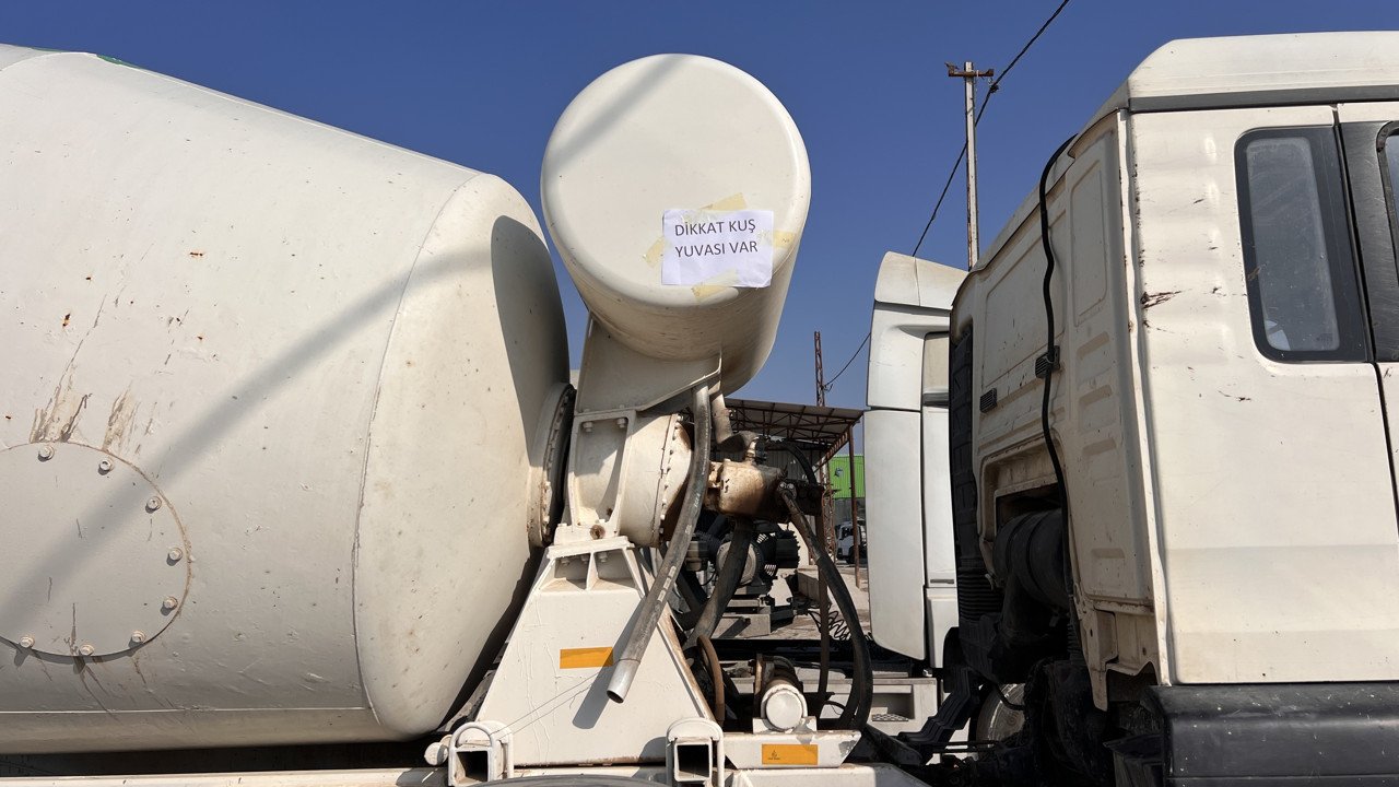 Beton mikserindeki kuş yuvasını fark edince…