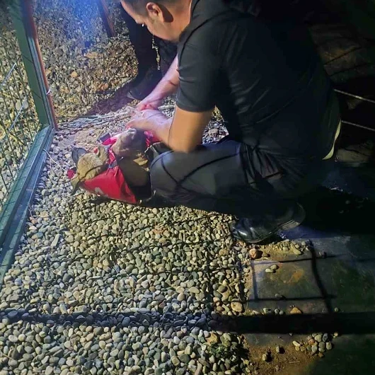 Adıyaman’da suya düşen köpeğin imdadına su altı ekipleri yetişti