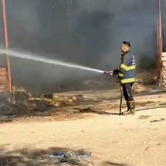 Eskişehir’de çiftlikte yangın çıktı: 15 küçükbaş telef oldu
