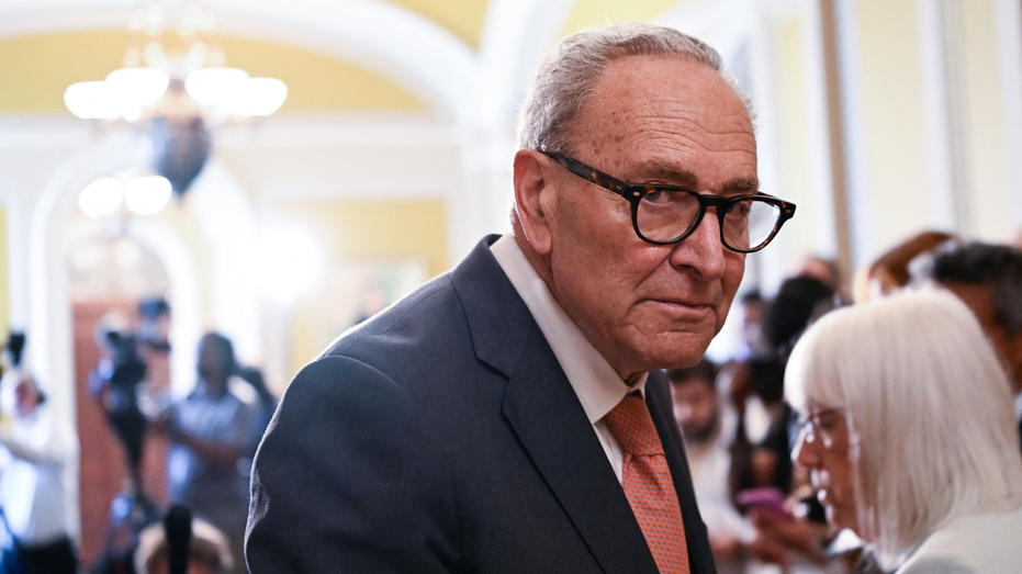 Schumer tanks popular insider trading ban in Dem effort to derail Republican’s agenda ahead of midterms