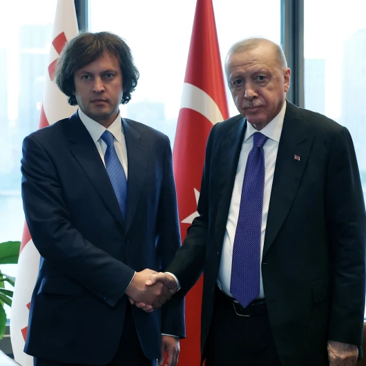 Cumhurbaşkanı Erdoğan, Gürcistan Başbakanı Kobakhidze’yi kabul etti