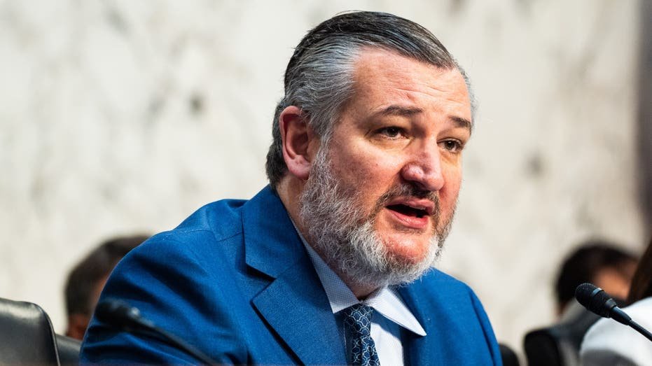 Cruz says winning AI race against China is ‘single most important economic question’ for America