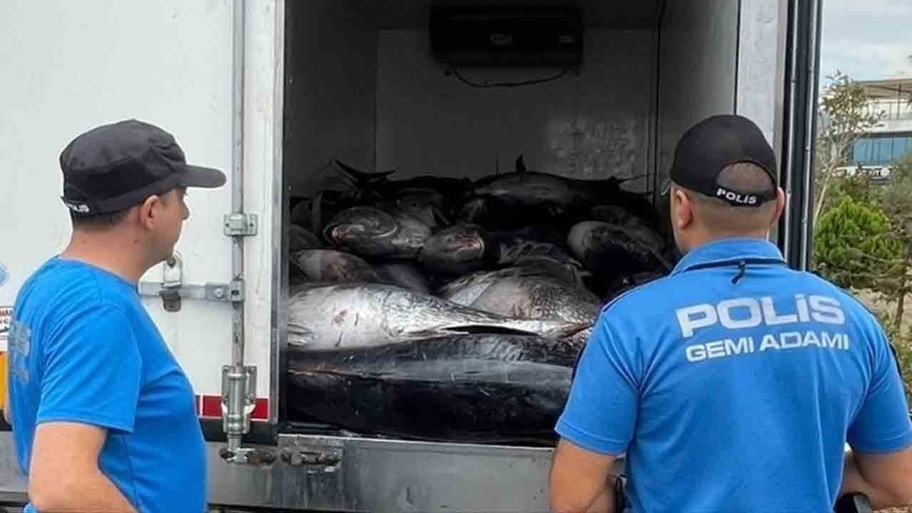 İzmir’de kaçak av operasyonu: 3 ton mavi yüzgeçli orkinos yakalandı!