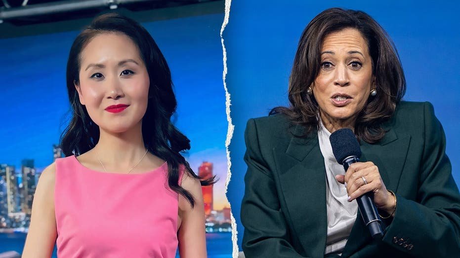 Ex-Dem insider exposes what Harris told top donors days before Biden dropped out: ‘Insulting’