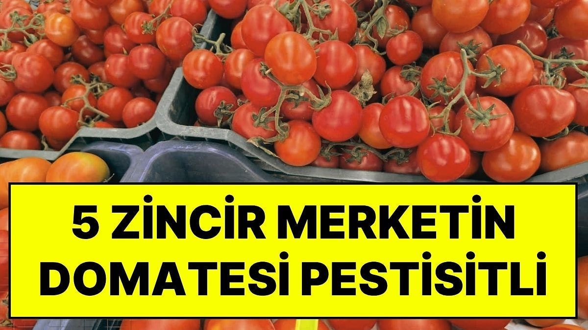 Greenpeace Açıkladı: İstanbul’daki 5 Zincir Marketin Domateslerinden Pestisit Çıktı