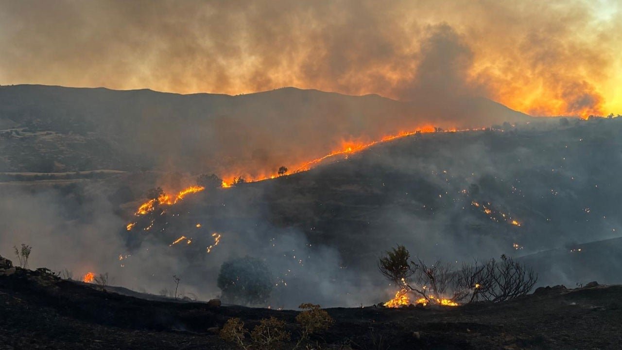 Siirt’te otluk alan alevlere teslim oldu! Yangın yerleşim yerine doğru ilerliyor