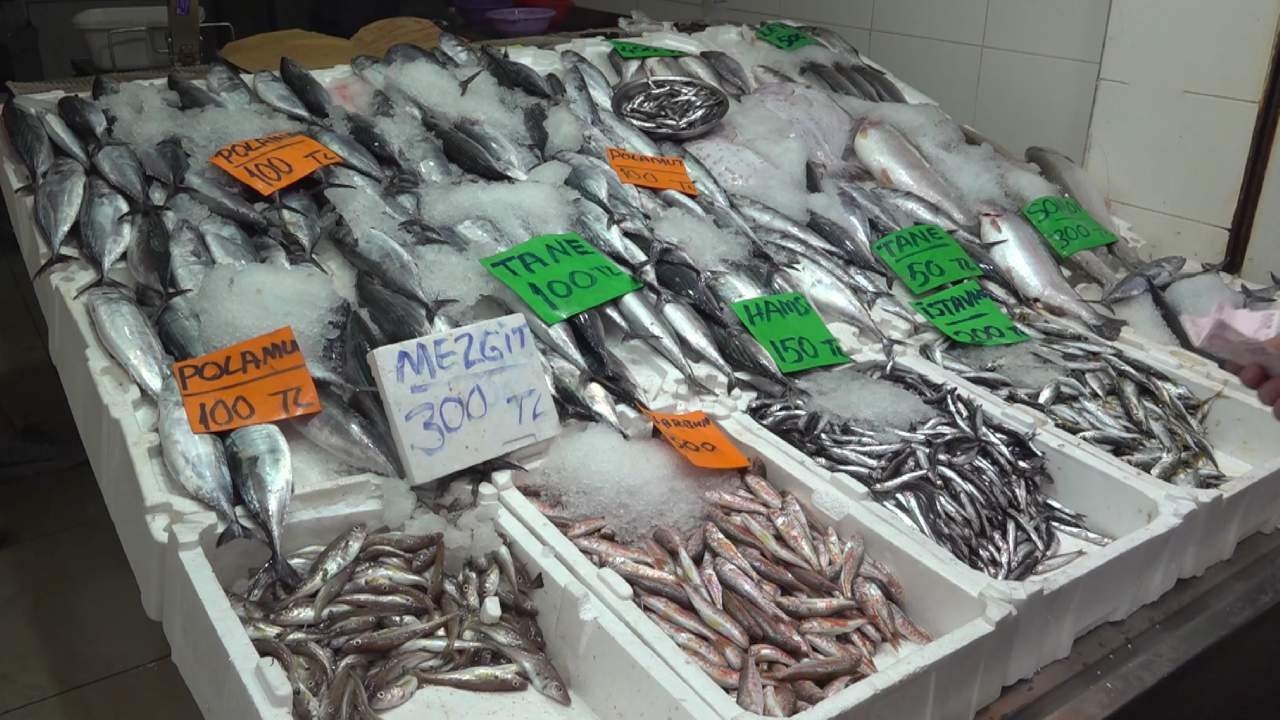Karadeniz’de ağlar doldu taştı: Tanesi 100 liradan tezgaha indi