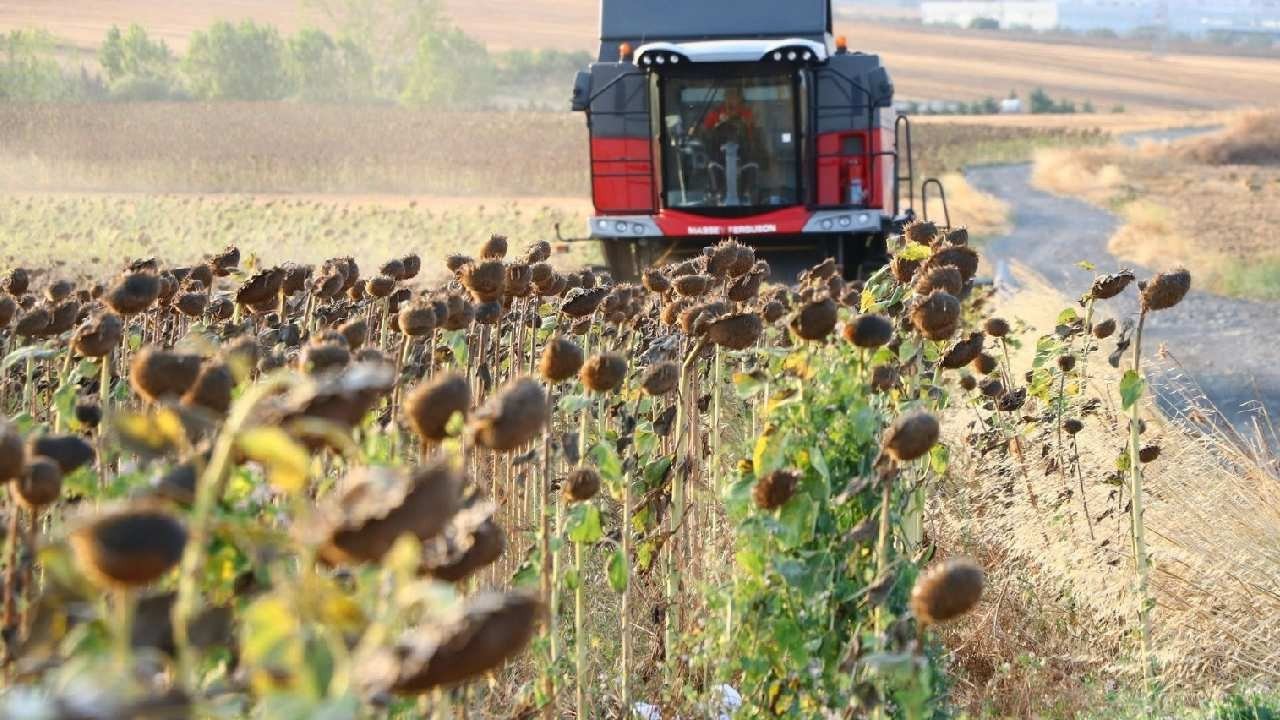 Ayçiçeğinde yeni sezon fiyatı belli oldu: Yüzde 17,2 artırıldı