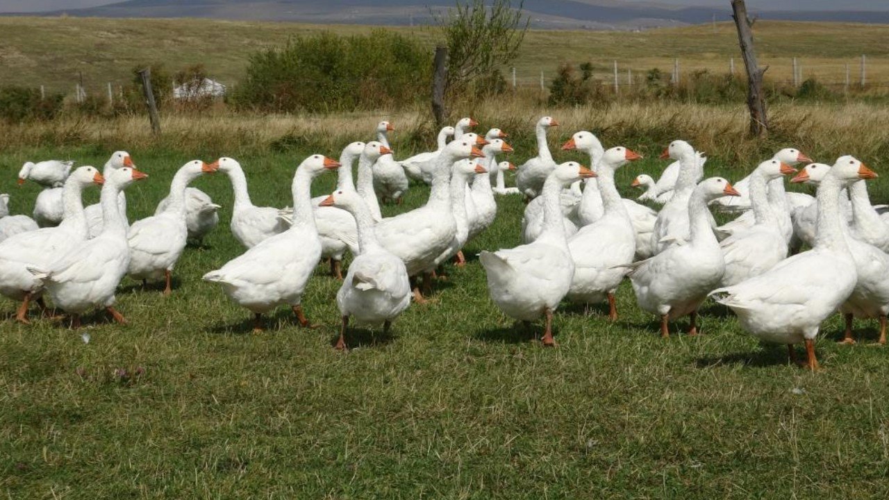 Belediye başkanlığından sonra bu işe başladı: 6 yıldır geçimini sağlıyor