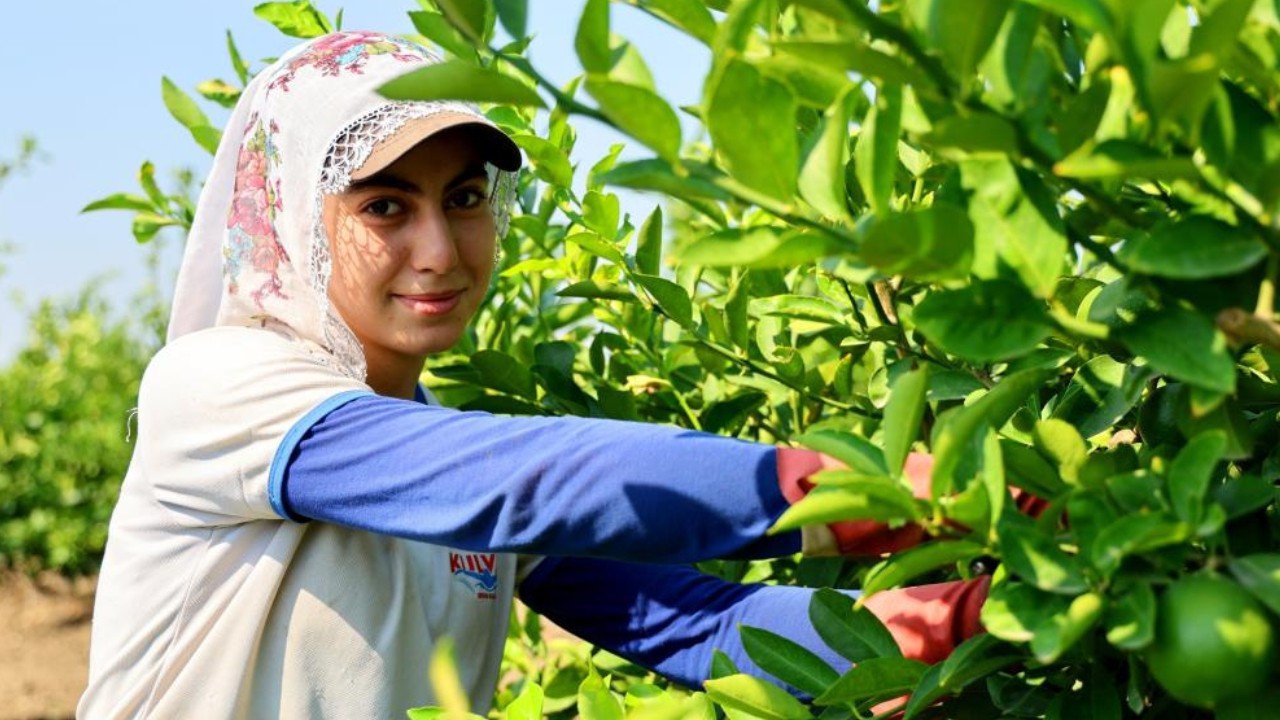 Tarım işçilerinin yeni yevmiyesi belli oldu