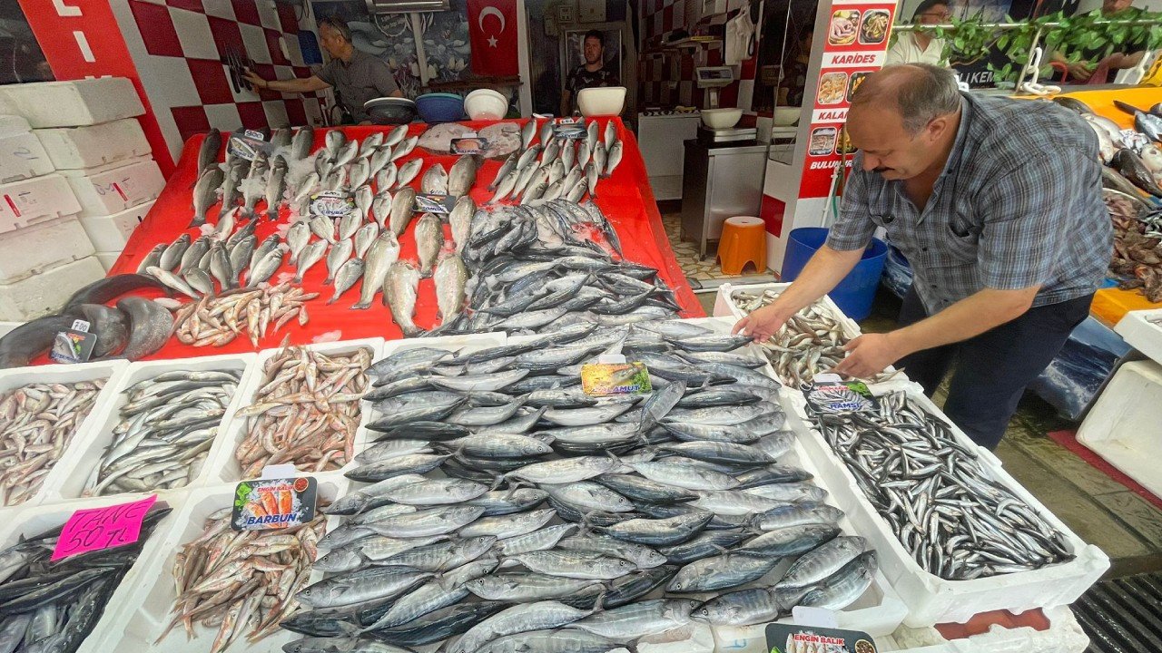 Karadeniz’de tezgahlar şenlendi: Tanesi 30 liraya kadar düştü