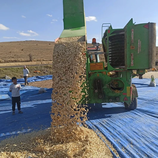 Çiftçinin yeni gözdesi oldu: Coğrafi işaret tescili, Nevşehir’de kabak çekirdeğinin üretim alanını katladı
