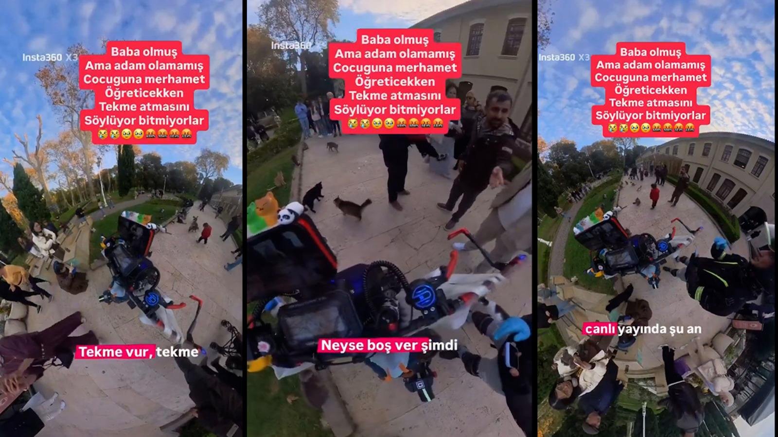 Gülhane Parkı’nda skandal görüntüler: Kedilere tekme atmayı babasından öğrendi!