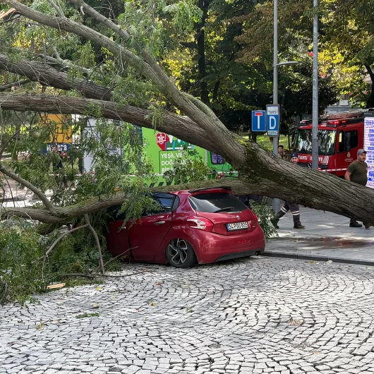 Şişli’de ağaç park halindeki otomobilin üzerine devrildi
