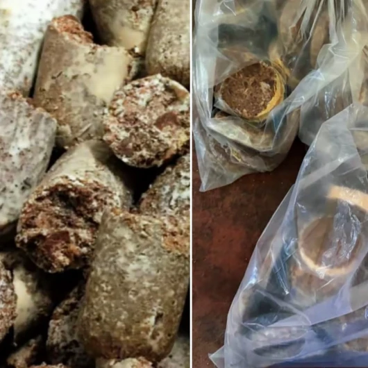 Sosyal medyadan satıyorlardı: Sucuk, kavurma ve peynirden oluşan 3,62 ton gıda ürününe el konuldu