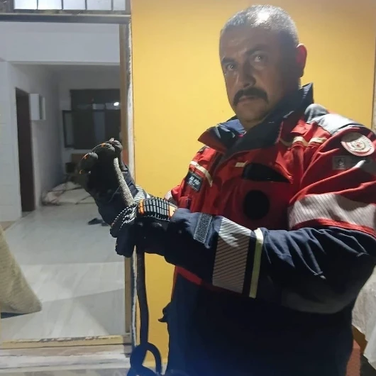 Hassa’da evde görülen yılan itfaiye ekiplerince yakalandı